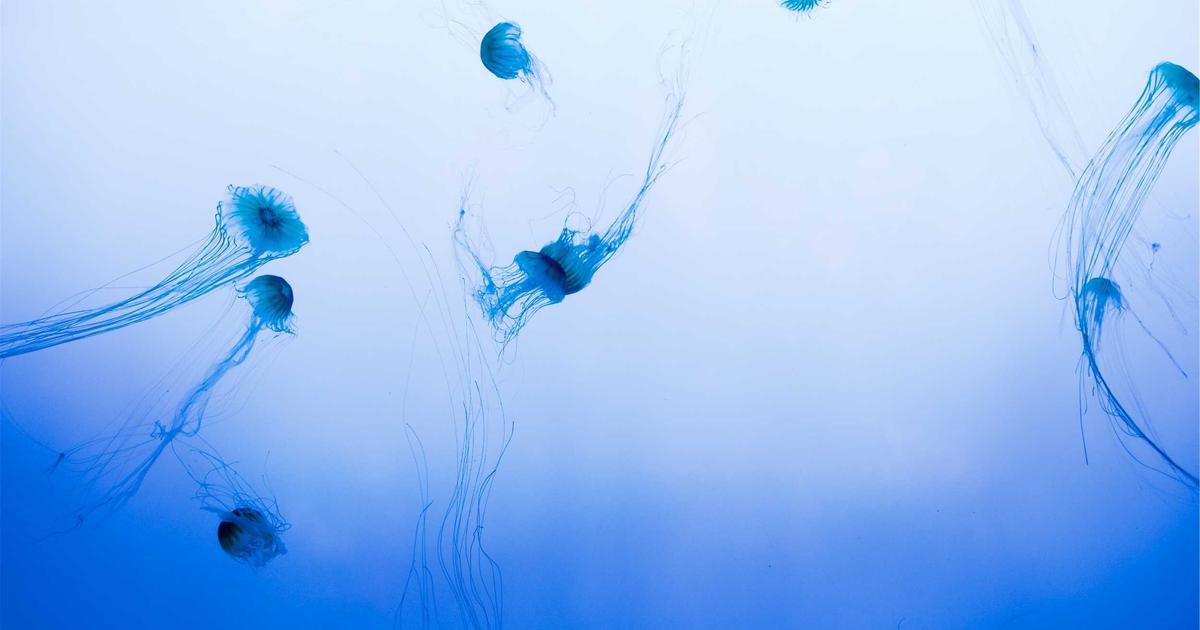 Hướng dẫn cách tạo website chuyên nghiệp trong 5 phút với công nghệ AI của BrandGens