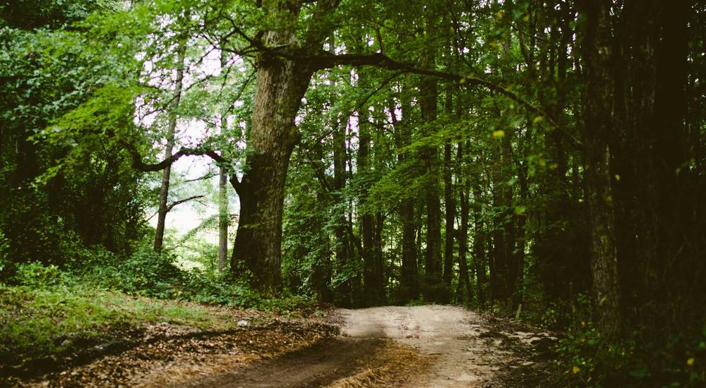 Hoạt động tình nguyện vùng cao 2026