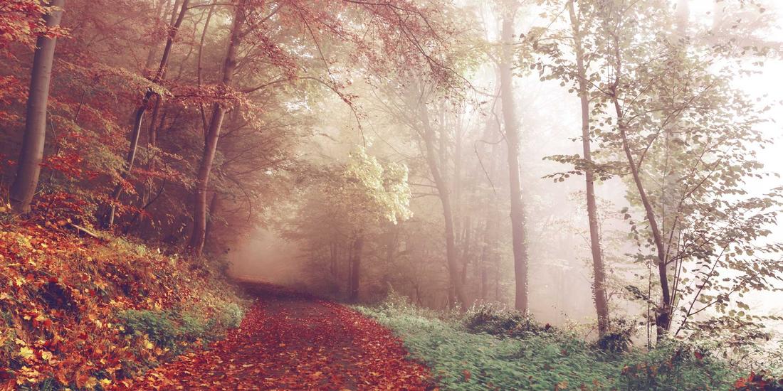 Tối ưu vốn lưu động 2026