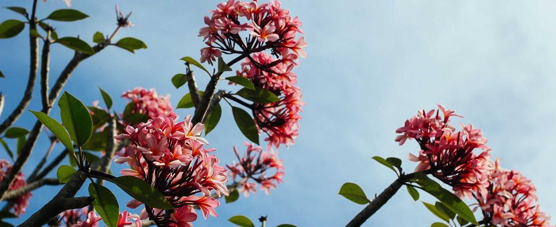 Future Space Ecology