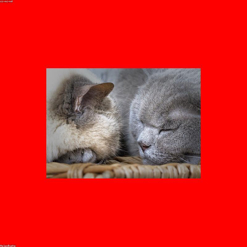 Hamper Quà Tết Thịnh Vượng 08