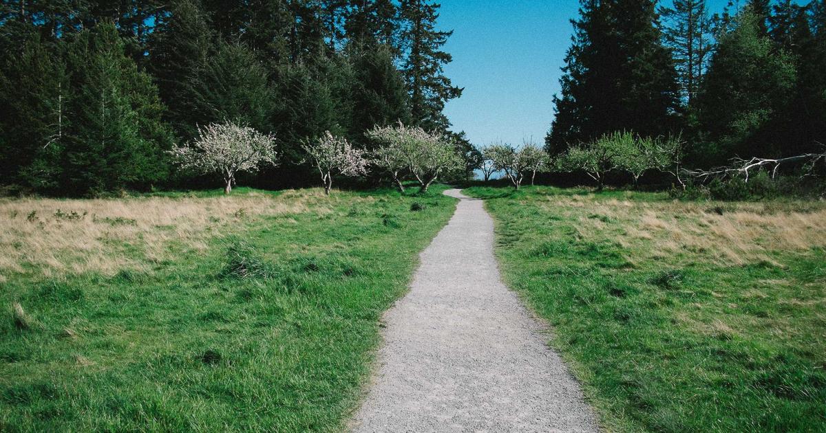 Xu hướng chuyển đổi số 2024: Sự trỗi dậy của AI trong hệ thống ERP và CRM