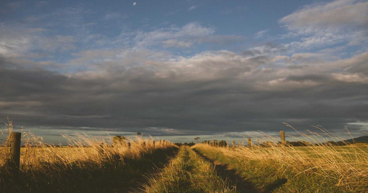 Nâng tầm thương hiệu số với giải pháp thiết kế website AI toàn diện từ BrandGens