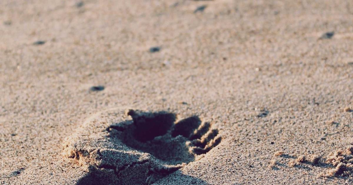 Hướng Dẫn Kỹ Thuật Vẽ Móng Nổi 3D Chuyên Sâu Với Bộ Sản Phẩm Nail Đỗ Quỳnh Anh