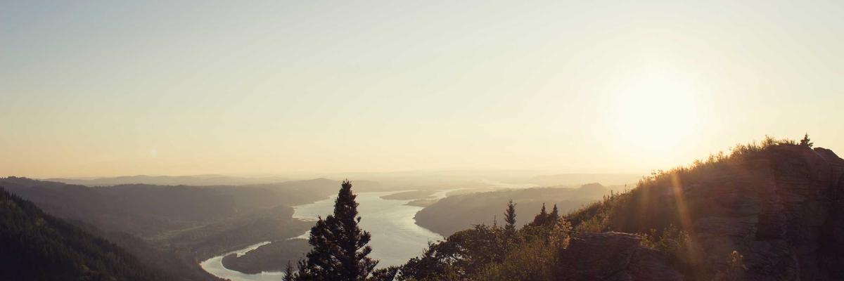 Biểu đồ tiến trình học tập AI 2026