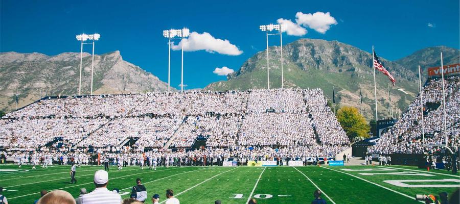 Neural Network Auditing Visualizer