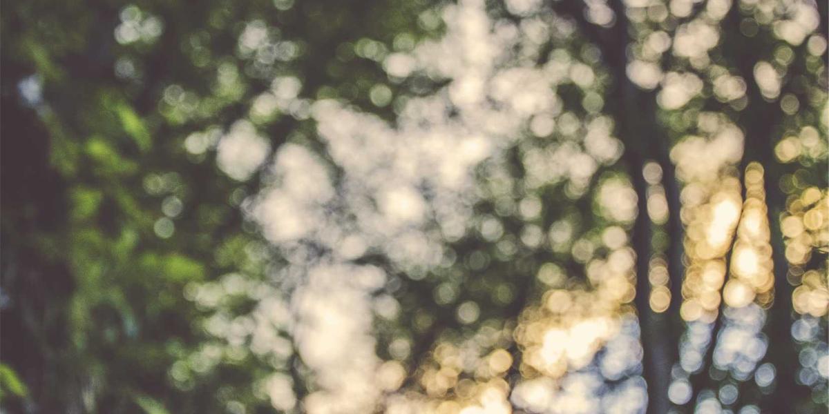 Đội ngũ kỹ thuật hỗ trợ