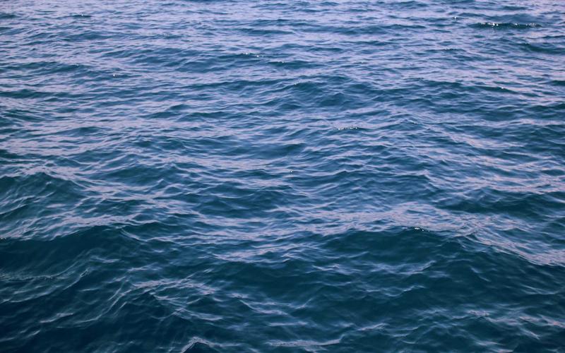 Art Toys Digital integration