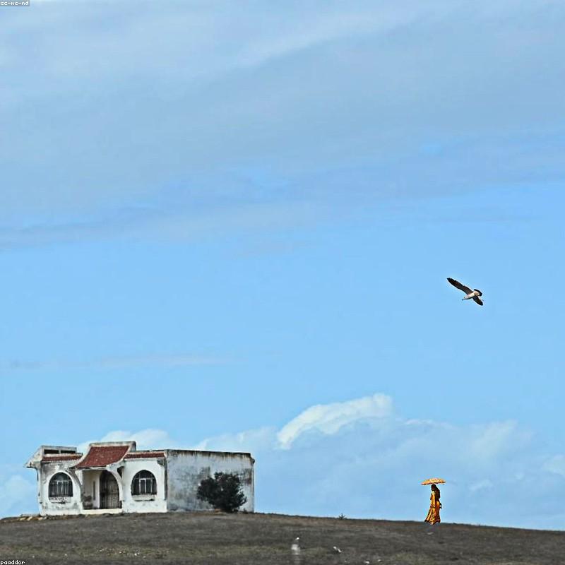 Xẻng Làm Vườn Mini Inox