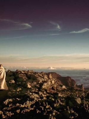 Tình nguyện viên du lịch 2026