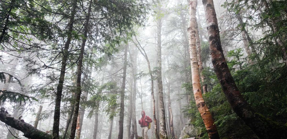 Kỹ năng debate năm 2026