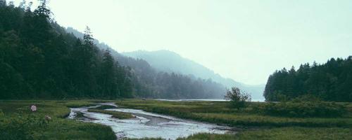 Sustainable stage detail