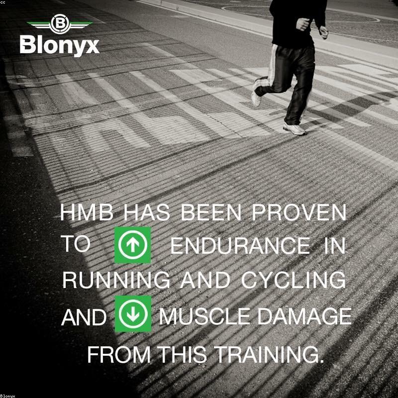 MuscleTech Platinum Creatine