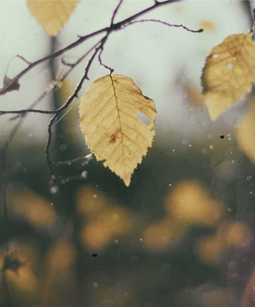 Thiết bị quét nguồn gốc 2026