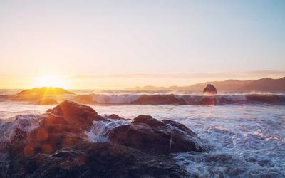 Chuyên gia tư vấn