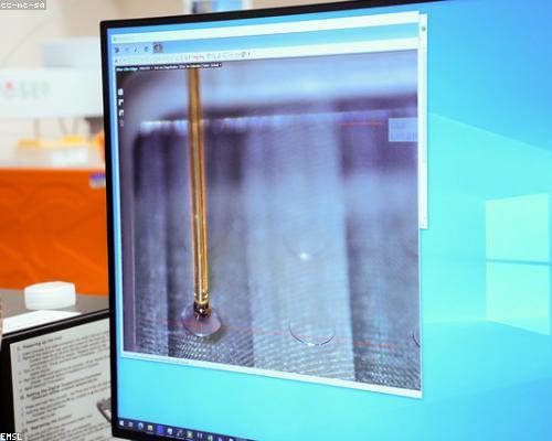 Tự động hóa hệ thống CMS