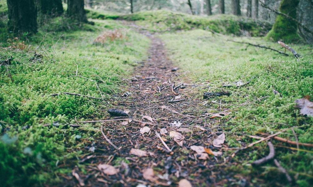 2026 Media Command Center