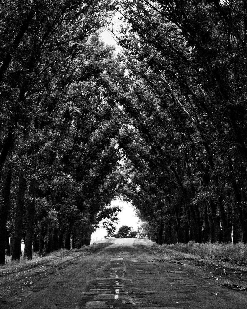 Chi tiết chất liệu qua ống kính film