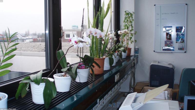 Văn phòng hiện đại với thiết bị in ấn