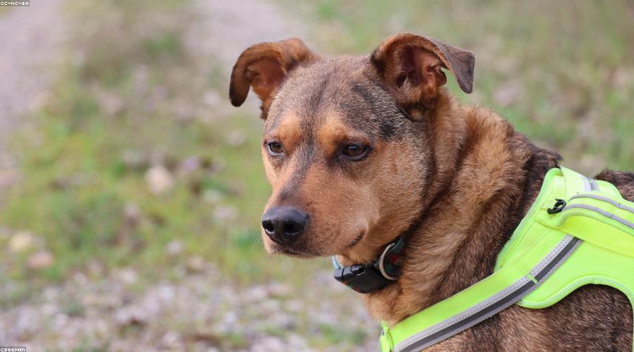 Cảnh đêm tại Forest Retreat