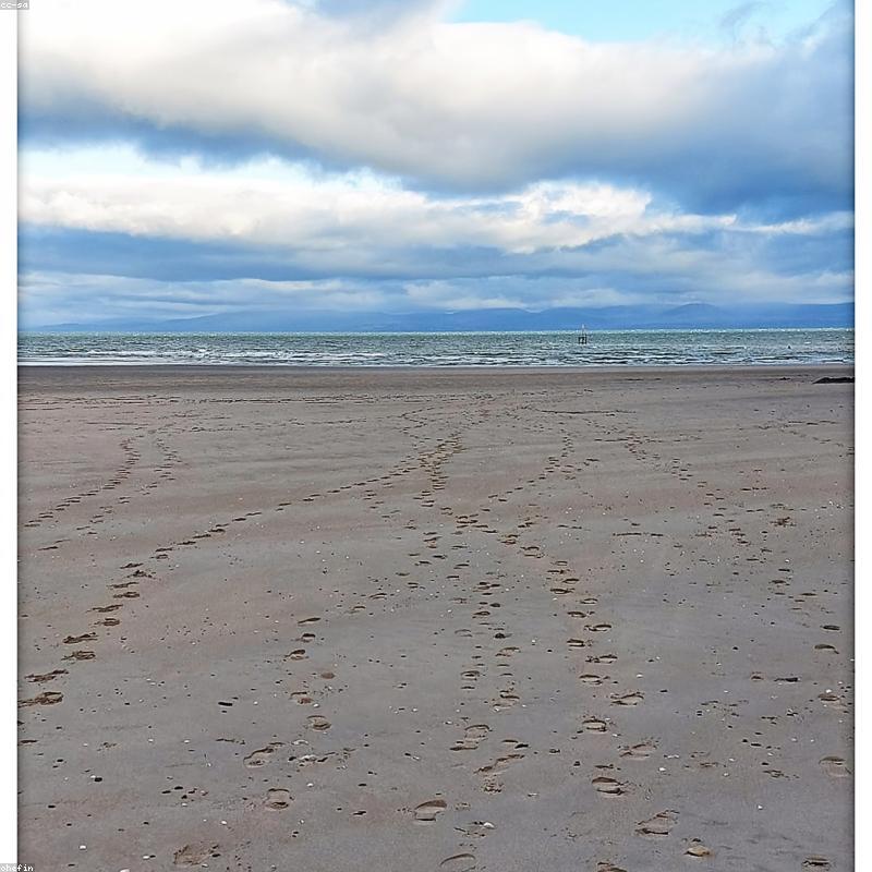 Vũ Điệu Ánh Sáng (Limited Edition)