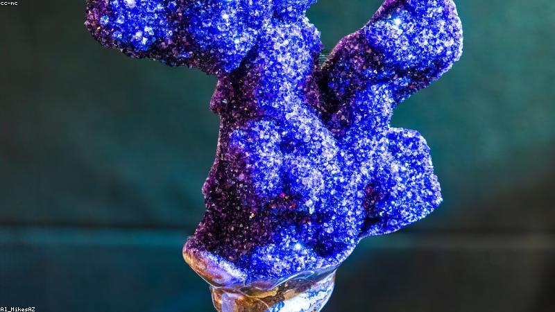 Nghệ thuật thiết kế vật phẩm hoạt hình