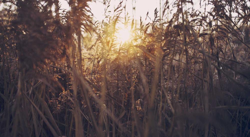 Công trình thực tế 2026