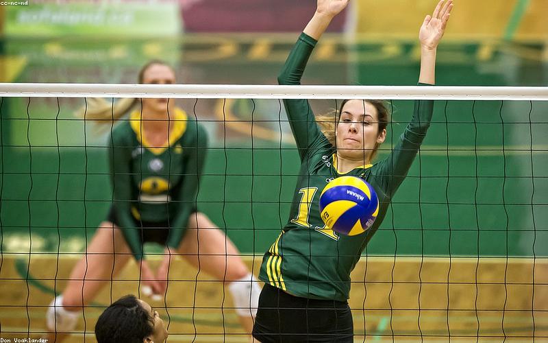 Nghiên cứu sơn dầu truyền thống