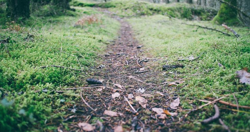 Clean Orbit Technology