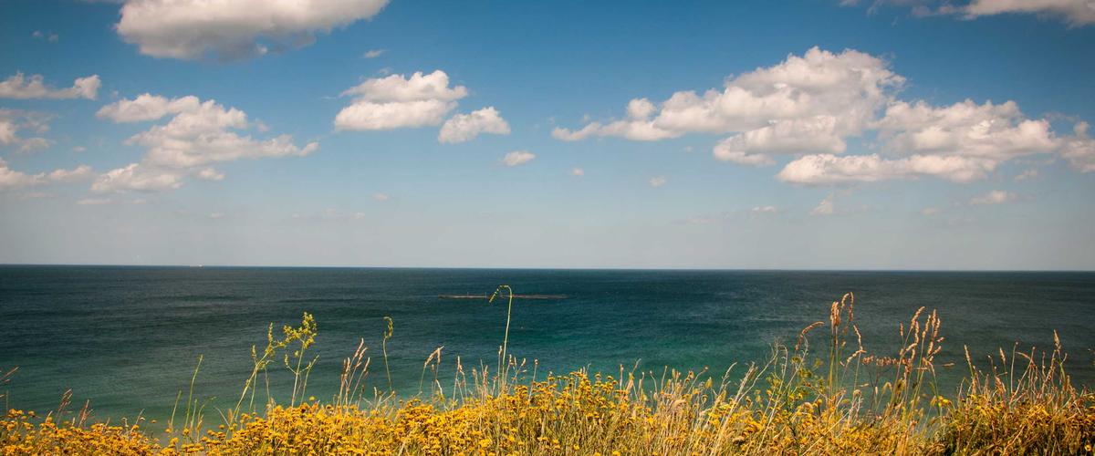 Chuẩn bị đồ ăn cho tuần