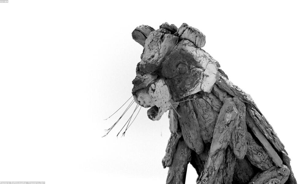 Hidden Lagoon Ha Long