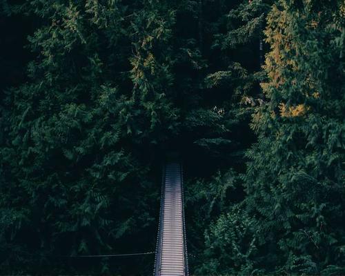 Gut-Brain Wellness Retreat