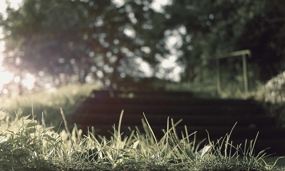 Phạm Thanh Sơn Training Session