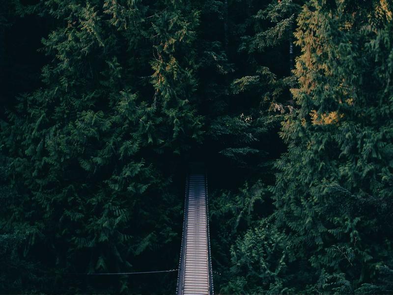 Key Light tản sáng