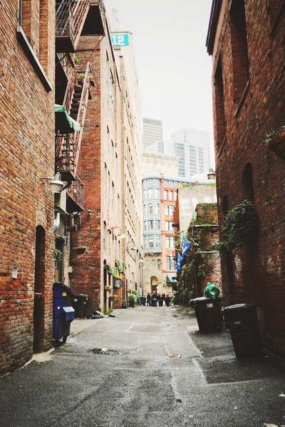 Hạt lúa mạch hữu cơ 2026