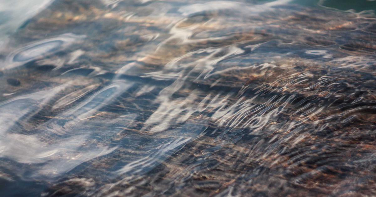 Xu hướng đồ chơi STEM 2024: Vì sao Lego và robot thông minh chiếm lĩnh thị trường?