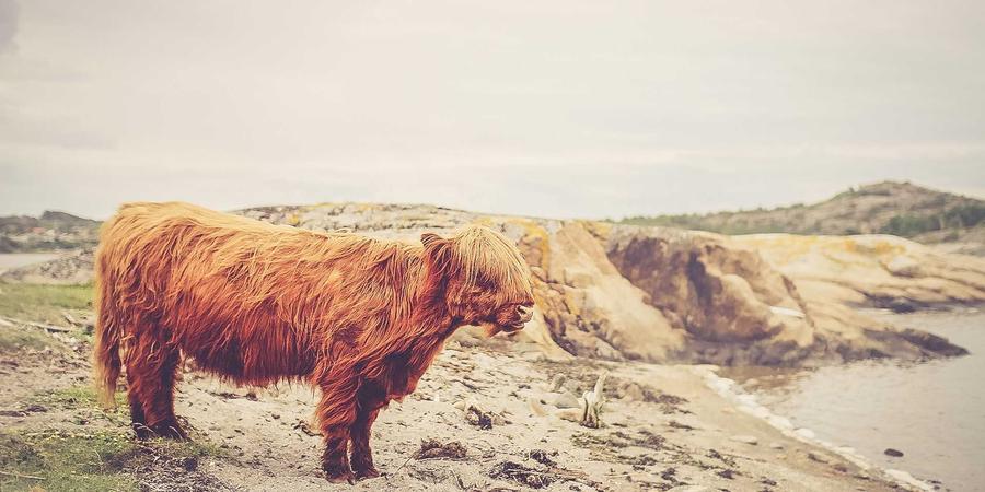 Phòng nghe nhạc tại Vinyl & Vintage