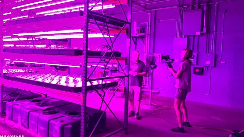 Dinh dưỡng xanh 2024