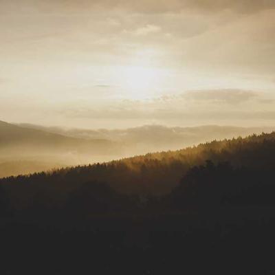 Các bước thực hiện