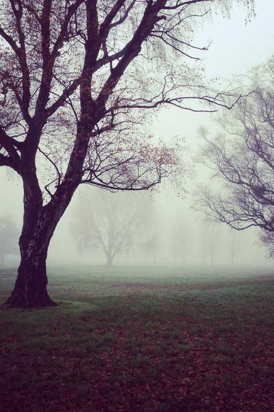 Chân dung nhà thiết kế