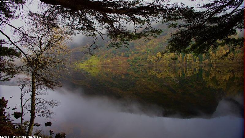 Nguyên liệu làm bánh thực vật