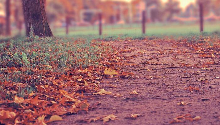 Bio-fiber yarns 2026