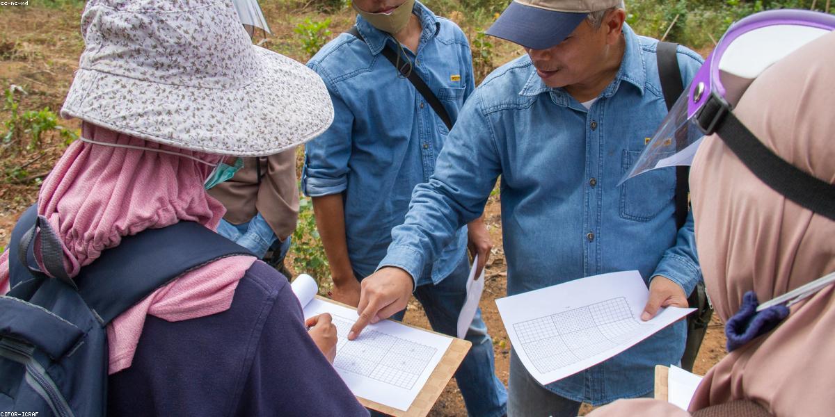 Gentleman Measurements