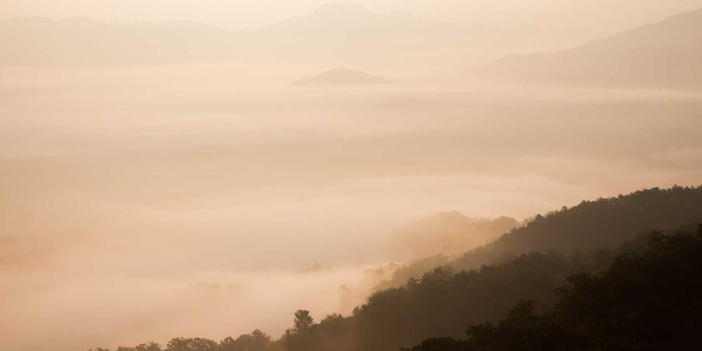 Backend Infrastructure