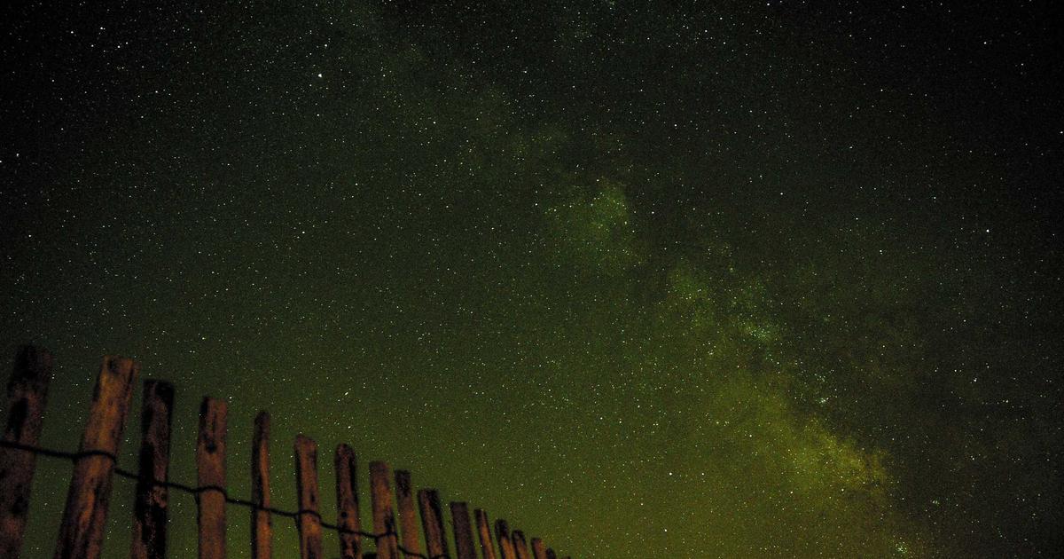 Xu hướng thiết kế website bằng AI năm 2025: Cuộc cách mạng tự động hóa từ BrandBoost