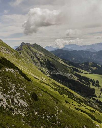 Liệu pháp chuông xoay