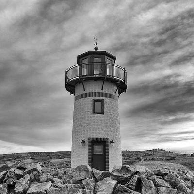 Phối trộn rêu Gradient 2026