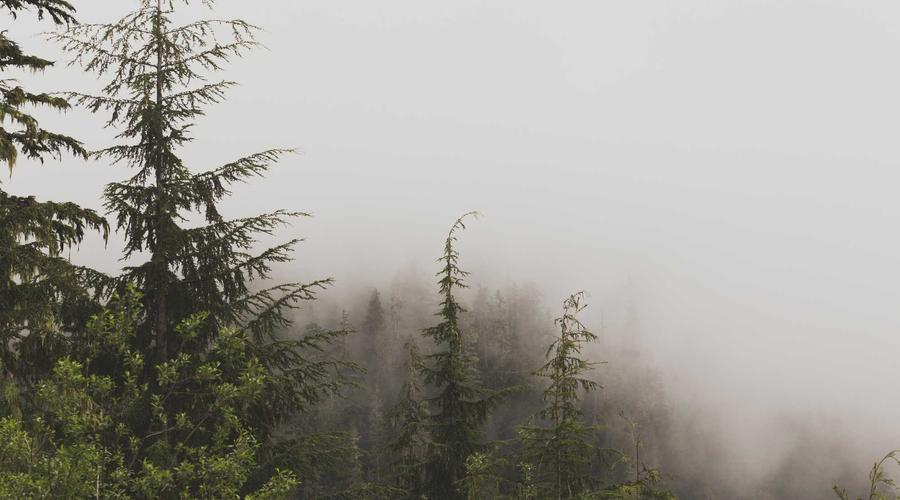 Không gian nhà hàng 5 sao