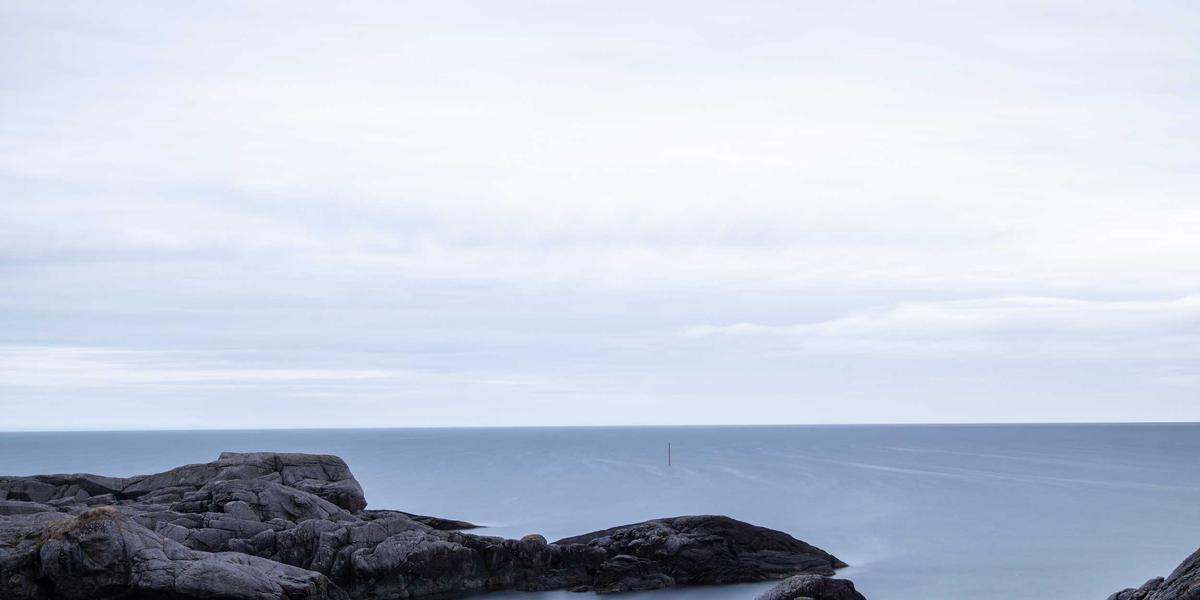 BrandGens Ecosystem 2026