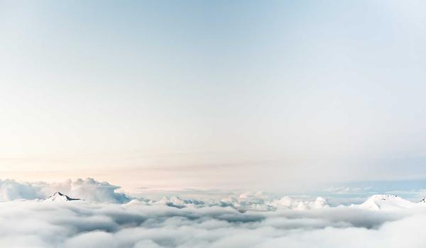 Khám bệnh cho chó 2026